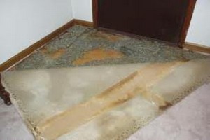 Carpet Cleaning Denver