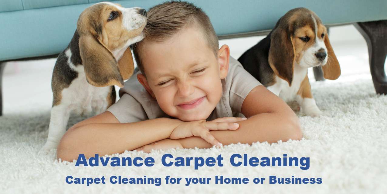 About Advance Carpet Cleaning Denver